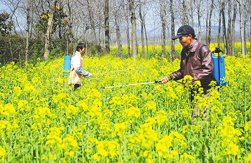 獨(dú)家揭秘農(nóng)用有機(jī)硅消泡劑的3大優(yōu)良特性
