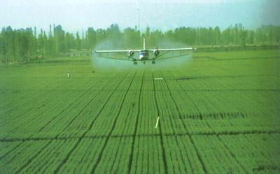 同行都知道的農藥化肥消泡劑，只有你不知