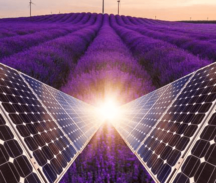 留下我的導電液消泡劑，也停止您的導電液泡沫