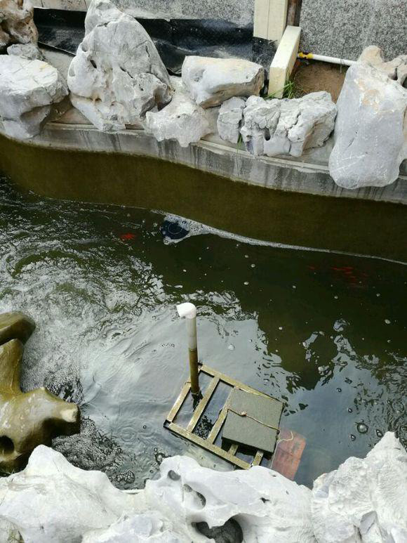 說真的，水池起泡過多只因沒遇上水池消泡劑！