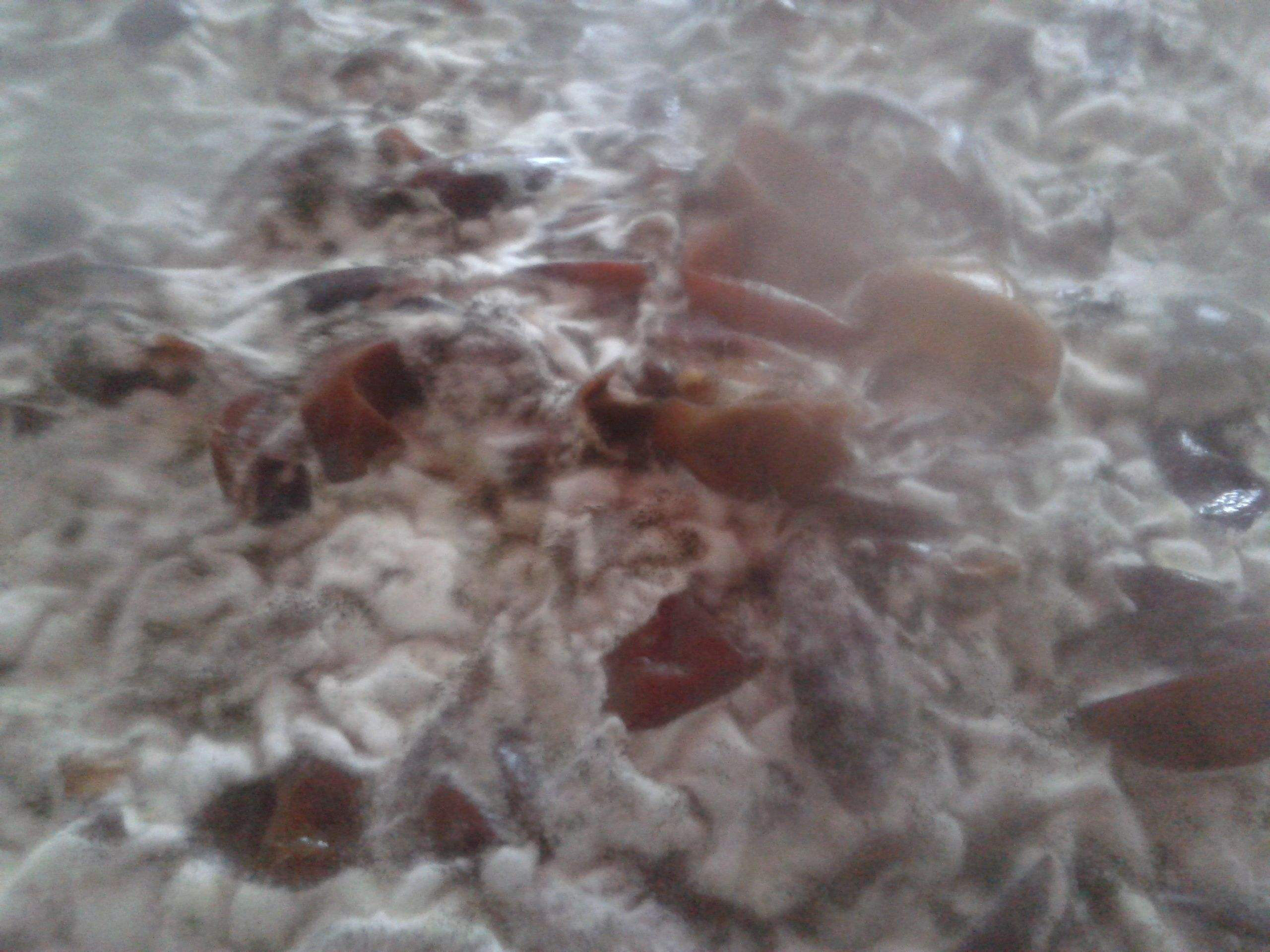 用發酵消泡劑竟然還有那么多好處！