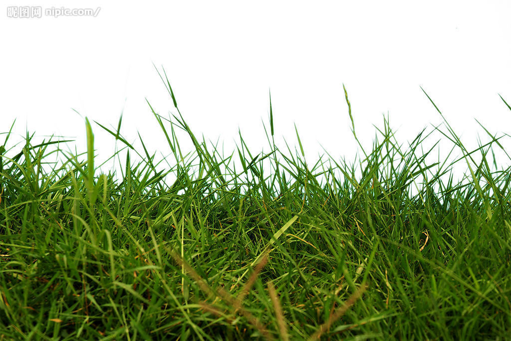 除草劑消泡劑在除草劑中應用