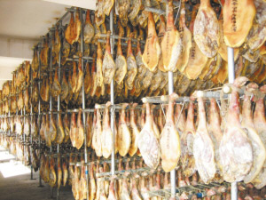 發酵食品消泡劑