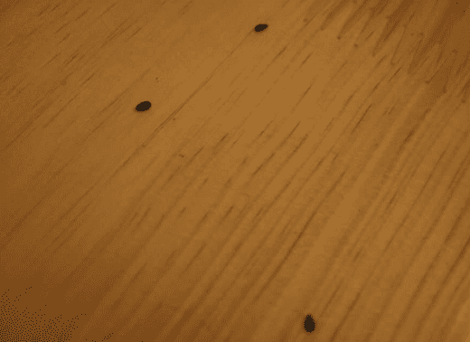 家具漆消泡劑在家具漆中的應用 家具漆消泡劑在家具漆中的應用