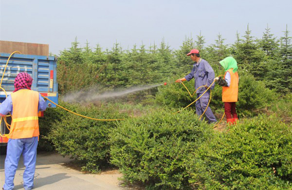 除草劑消泡劑在除草中應(yīng)用 除草劑消泡劑在除草中應(yīng)用