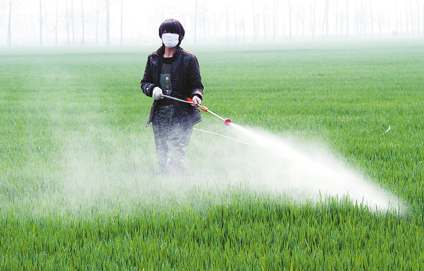 除蟲劑消泡劑在農作物中應用 除蟲劑消泡劑在農作物中應用