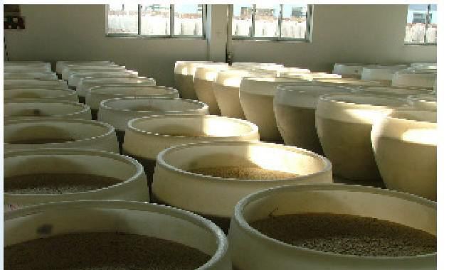 發(fā)酵行業(yè)消泡劑的應(yīng)用領(lǐng)域 發(fā)酵行業(yè)消泡劑的應(yīng)用領(lǐng)域