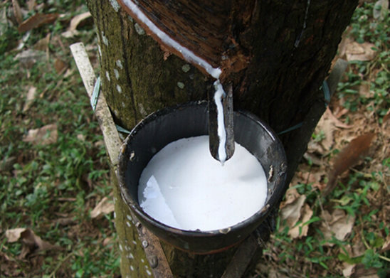 天然膠粘劑消泡劑的應用領域 天然膠粘劑消泡劑的應用領域