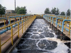 生物水處理消泡劑的應用