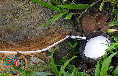 橡膠樹脂消泡劑在橡膠行業中應用