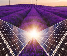 導電液消泡劑應用場景