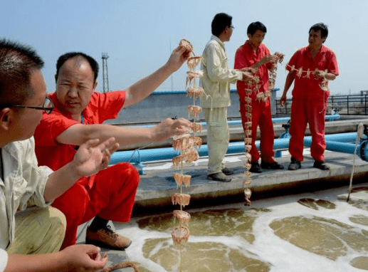 生物水處理場景圖 生物水處理場景圖