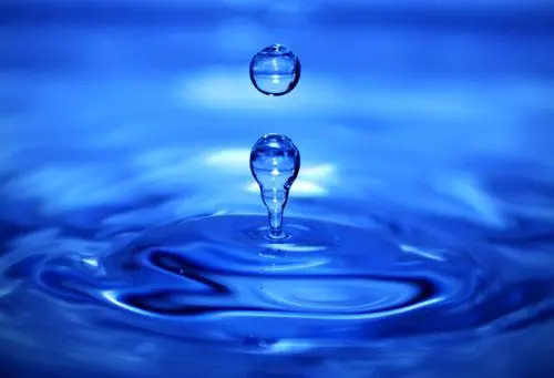 u=1894138206,1683430612&fm=253&fmt=auto&app=138&f=JPEG.webp.jpg u=1894138206,1683430612&fm=253&fmt=auto&app=138&f=JPEG.webp.jpg