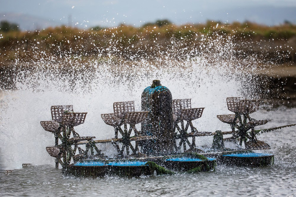 451456148.jpg 451456148.jpg